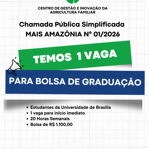 seleção 1,2026 +AM